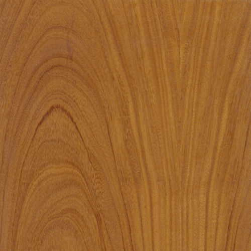Afrormosia veneer