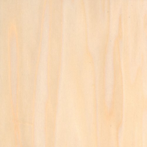 Poplar - White