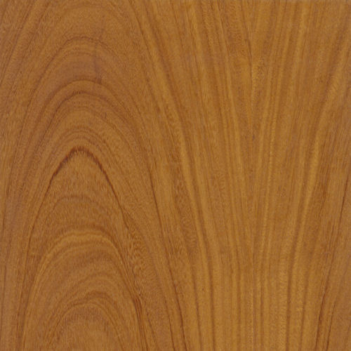 Afrormosia veneer